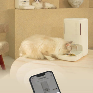meoof 智能寵物餵食器 (帶鏡頭|5.5L|App控制)-自動餵食器-毛孩物語Pets Thing|香港寵物貓狗用品專門店:IATA寵物飛機籠、寵物手推車、貓爬架貓樹