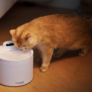 Hiigge寵物Light自動飲水器(APP連接|4000mAh|2.3L容量)-自動飲水器-毛孩物語Pets Thing|香港寵物貓狗用品專門店:IATA寵物飛機籠、寵物手推車、貓爬架貓樹