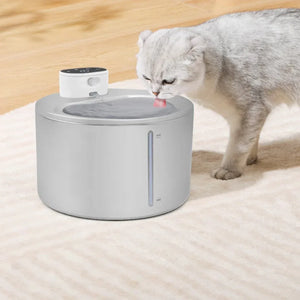 PETFONG 智能感應寵物飲水機(不銹鋼|5000mAh|4L容量)-自動飲水器-毛孩物語Pets Thing|香港寵物貓狗用品專門店:IATA寵物飛機籠、寵物手推車、貓爬架貓樹