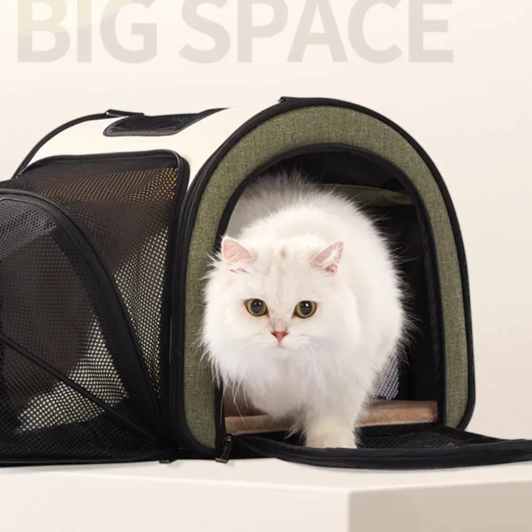 Petsfit 經典款航空寵物軟袋 (不可擴展版)-寵物航空箱寵物袋-毛孩物語Pets Thing|香港寵物貓狗用品專門店:IATA寵物飛機籠、寵物手推車、貓爬架貓樹
