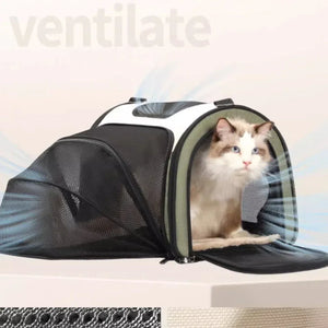 Petsfit 經典款航空寵物軟袋 (不可擴展版)-寵物航空箱寵物袋-毛孩物語Pets Thing|香港寵物貓狗用品專門店:IATA寵物飛機籠、寵物手推車、貓爬架貓樹