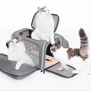 Petsfit 高質三用擴展式航空寵物軟袋 (內置安全繩|底板硬墊|單邊擴展版)-寵物航空箱寵物袋-毛孩物語Pets Thing|香港寵物貓狗用品專門店:IATA寵物飛機籠、寵物手推車、貓爬架貓樹