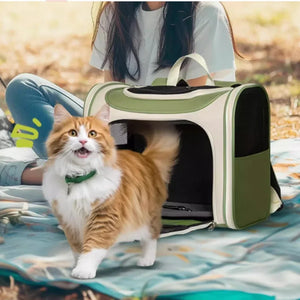 PETSFIT 寵物雙肩橫護腰設計背囊-貓-毛孩物語Pets Thing|香港寵物貓狗用品專門店:IATA寵物飛機籠、寵物手推車、貓爬架貓樹