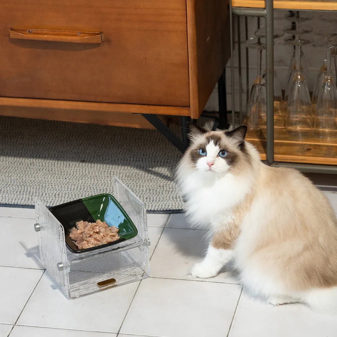 Pettellyava’ Fito 可調節貓餐碗套裝-貓用品-毛孩物語Pets Thing|香港寵物貓狗用品專門店:IATA寵物飛機籠、寵物手推車、貓爬架貓樹