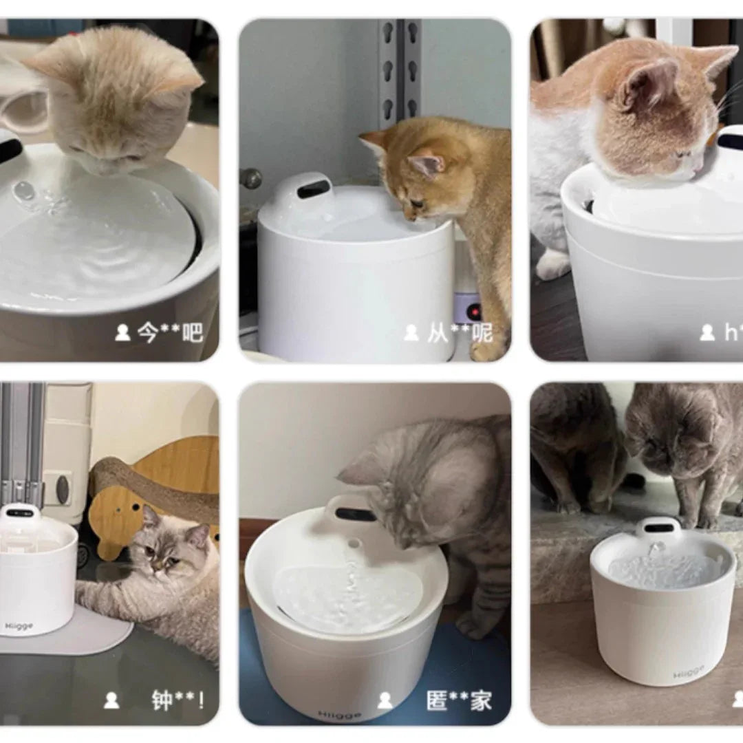 Hiigge寵物Light自動飲水器(APP連接|4000mAh|2.3L容量)-自動飲水器-毛孩物語Pets Thing|香港寵物貓狗用品專門店:IATA寵物飛機籠、寵物手推車、貓爬架貓樹
