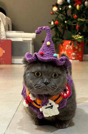 寵物萬聖節升級裝飾衣服狗狗貓咪頸帶圍兜套裝(南瓜圍兜連橙色帽)-貓狗-毛孩物語Pets Thing|香港寵物貓狗用品專門店:IATA寵物飛機籠、寵物手推車、貓爬架貓樹