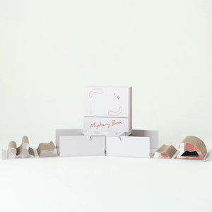 Pettellyava’ Mystery Box 貓抓盲盒-貓玩具-毛孩物語Pets Thing|香港寵物貓狗用品專門店:IATA寵物飛機籠、寵物手推車、貓爬架貓樹