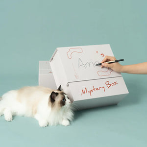 Pettellyava’ Mystery Box 貓抓盲盒-貓玩具-毛孩物語Pets Thing|香港寵物貓狗用品專門店:IATA寵物飛機籠、寵物手推車、貓爬架貓樹