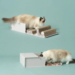 Pettellyava’ Mystery Box 貓抓盲盒-貓玩具-毛孩物語Pets Thing|香港寵物貓狗用品專門店:IATA寵物飛機籠、寵物手推車、貓爬架貓樹