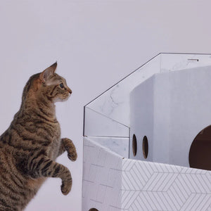 Pettellyava’ Mini Cat Mansion 摺疊式貓屋-貓-毛孩物語Pets Thing|香港寵物貓狗用品專門店:IATA寵物飛機籠、寵物手推車、貓爬架貓樹