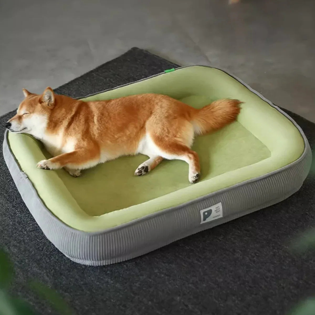kimpets四季通用貓狗兩用加厚護頸寵物窩-貓狗-毛孩物語Pets Thing|香港寵物貓狗用品專門店:IATA寵物飛機籠、寵物手推車、貓爬架貓樹
