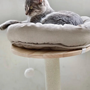 實木多功能6合1貓爬架連貓窩逗貓滾球玩具 (75cm)-貓-毛孩物語Pets Thing|香港寵物貓狗用品專門店:IATA寵物飛機籠、寵物手推車、貓爬架貓樹