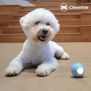 Cheerble Ice Cream Ball M2 電動智能寵物訓練玩具球-貓狗-毛孩物語Pets Thing|香港寵物貓狗用品專門店:IATA寵物飛機籠、寵物手推車、貓爬架貓樹