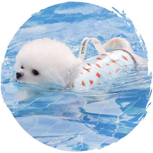 hipipet🏊♂️夏季狗狗玩水游泳可愛格仔小型狗狗泳衣(櫻桃款)-狗-毛孩物語Pets Thing|香港寵物貓狗用品專門店:IATA寵物飛機籠、寵物手推車、貓爬架貓樹