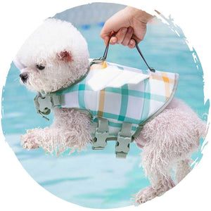 hipipet🏊♂️夏季狗狗玩水游泳救生衣狗泳衣(小蜜蜂)-狗-毛孩物語Pets Thing|香港寵物貓狗用品專門店:IATA寵物飛機籠、寵物手推車、貓爬架貓樹