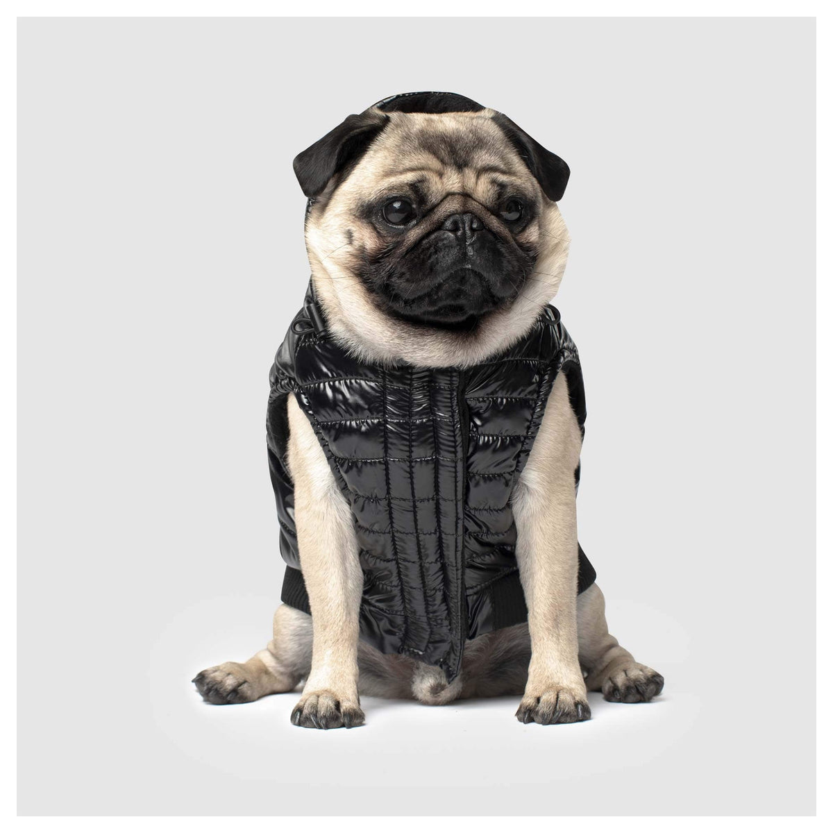 Canada Pooch Shiny Puffer Vest|狗狗服飾|加拿大直送-狗-毛孩物語Pets Thing|香港寵物貓狗用品專門店:IATA寵物飛機籠、寵物手推車、貓爬架貓樹