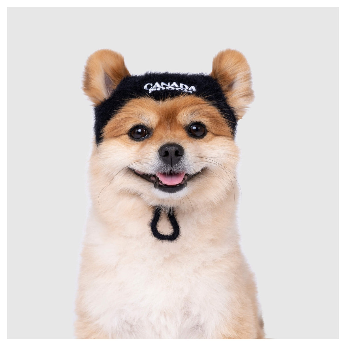 Canada Pooch Pawparazzi Beanie|狗狗服飾|加拿大直送-狗-毛孩物語Pets Thing|香港寵物貓狗用品專門店:IATA寵物飛機籠、寵物手推車、貓爬架貓樹