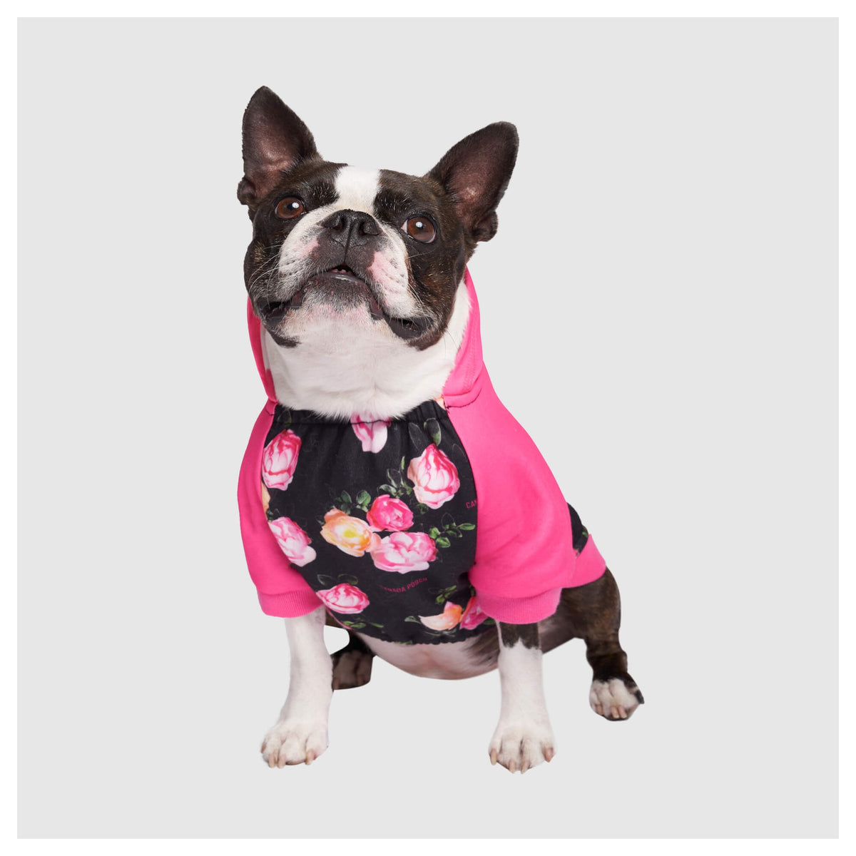 Canada Pooch Whatever The Weather Hoodie|狗狗服飾|加拿大直送-狗-毛孩物語Pets Thing|香港寵物貓狗用品專門店:IATA寵物飛機籠、寵物手推車、貓爬架貓樹