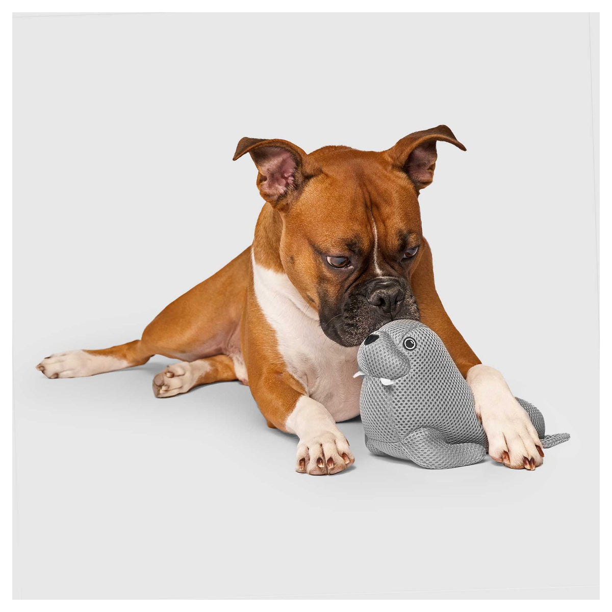 Canada Pooch Freeze & Chill Cooling Pal Toy|狗狗玩具|加拿大直送-狗-毛孩物語Pets Thing|香港寵物貓狗用品專門店:IATA寵物飛機籠、寵物手推車、貓爬架貓樹