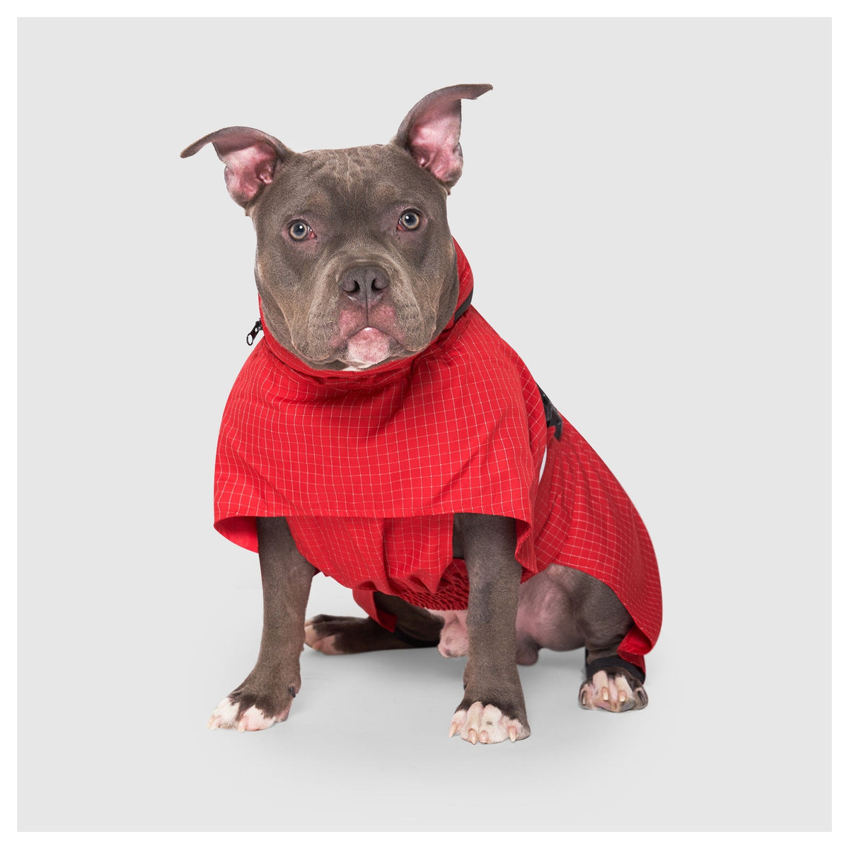 Canada Pooch Complete Coverage Raincoat|狗狗雨具|加拿大直送-狗-毛孩物語Pets Thing|香港寵物貓狗用品專門店:IATA寵物飛機籠、寵物手推車、貓爬架貓樹