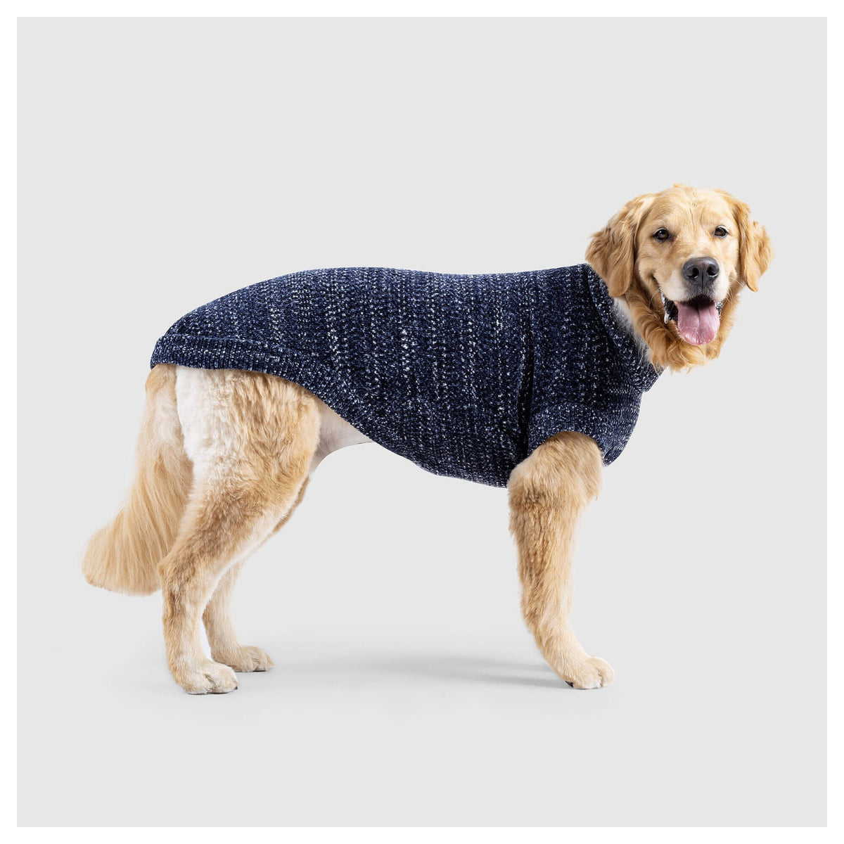 Canada Pooch Soho Sweater|狗狗服飾|加拿大直送-狗-毛孩物語Pets Thing|香港寵物貓狗用品專門店:IATA寵物飛機籠、寵物手推車、貓爬架貓樹