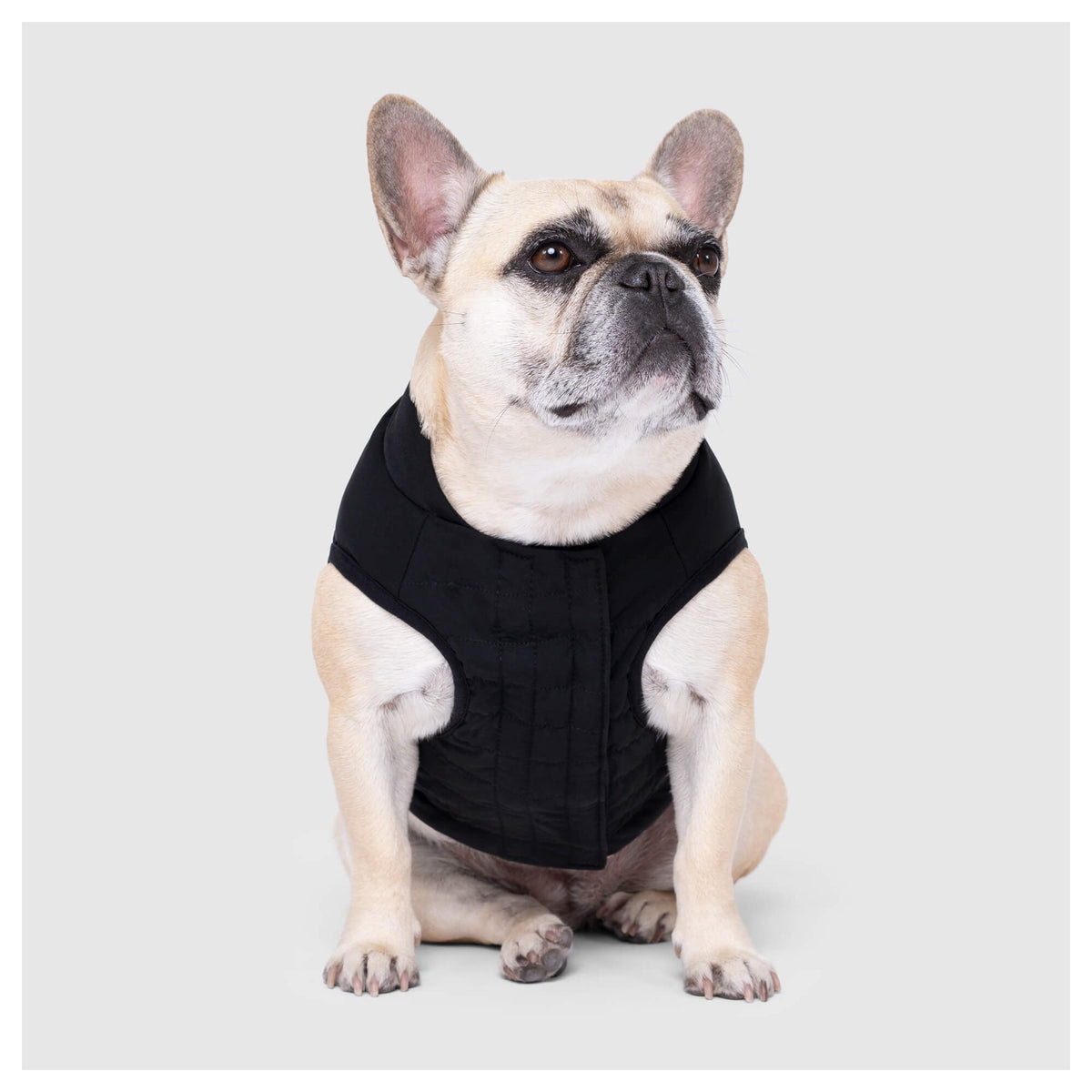 Canada Pooch Ultimate Stretch Vest|狗狗服飾|加拿大直送-狗-毛孩物語Pets Thing|香港寵物貓狗用品專門店:IATA寵物飛機籠、寵物手推車、貓爬架貓樹