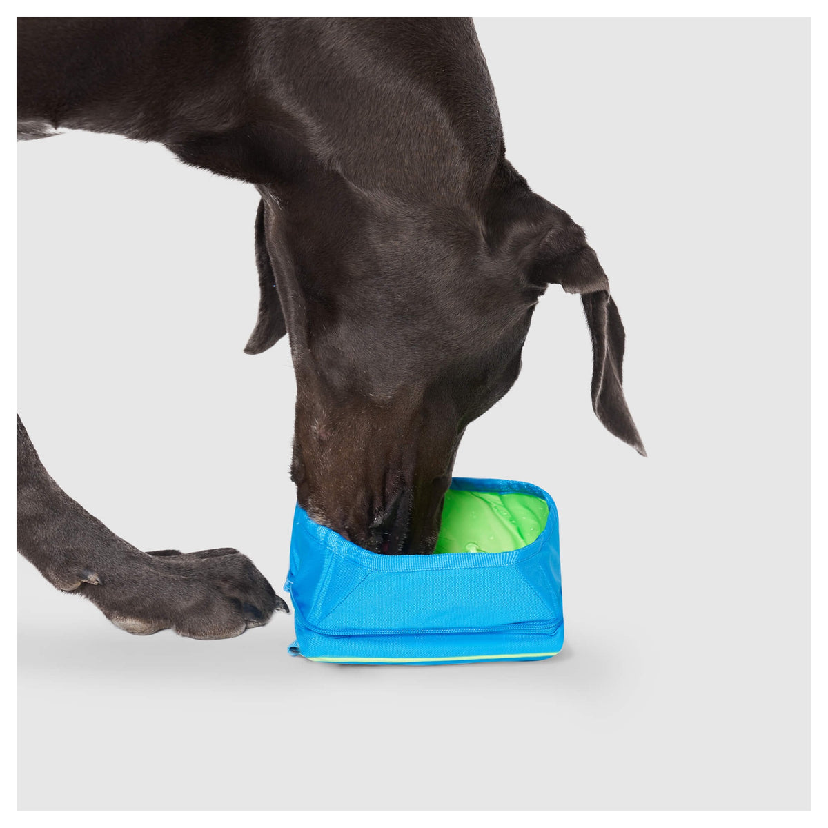 Canada Pooch Chill Seeker Freeze-And-Go Water Bowl|狗狗出街用品|加拿大直送-狗-毛孩物語Pets Thing|香港寵物貓狗用品專門店:IATA寵物飛機籠、寵物手推車、貓爬架貓樹