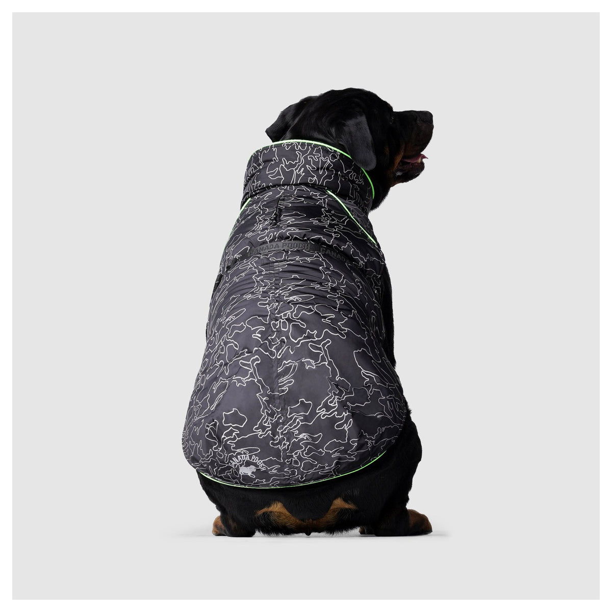 Canada Pooch Expedition Coat 2.0|狗狗服飾|加拿大直送-狗-毛孩物語Pets Thing|香港寵物貓狗用品專門店:IATA寵物飛機籠、寵物手推車、貓爬架貓樹