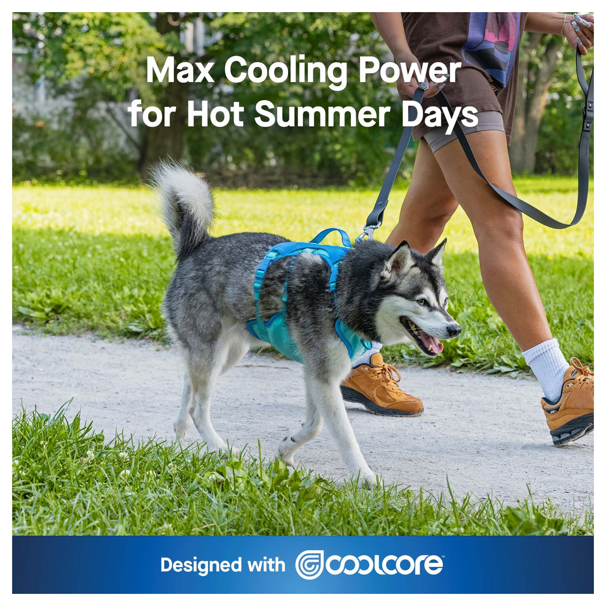 Canada Pooch Max Chill Cooling Harness|狗狗胸帶及戶外用品|加拿大直送-寵物胸背帶-毛孩物語Pets Thing|香港寵物貓狗用品專門店:IATA寵物飛機籠、寵物手推車、貓爬架貓樹