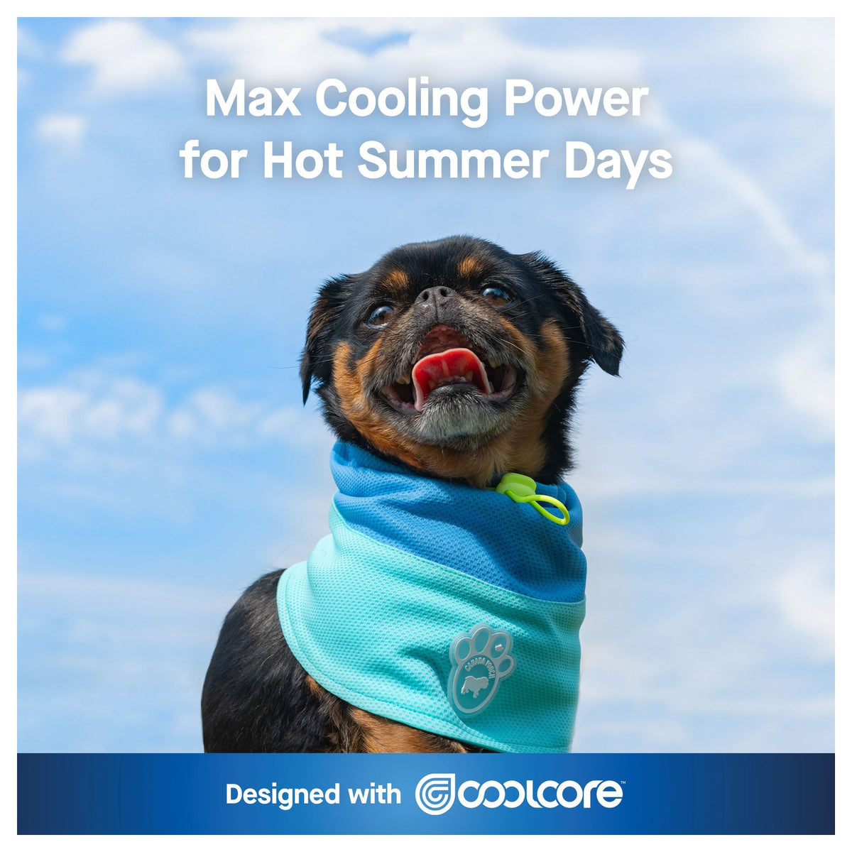 Canada Pooch Max Chill Cooling Snood|狗狗服飾|加拿大直送 產品細節圖 2