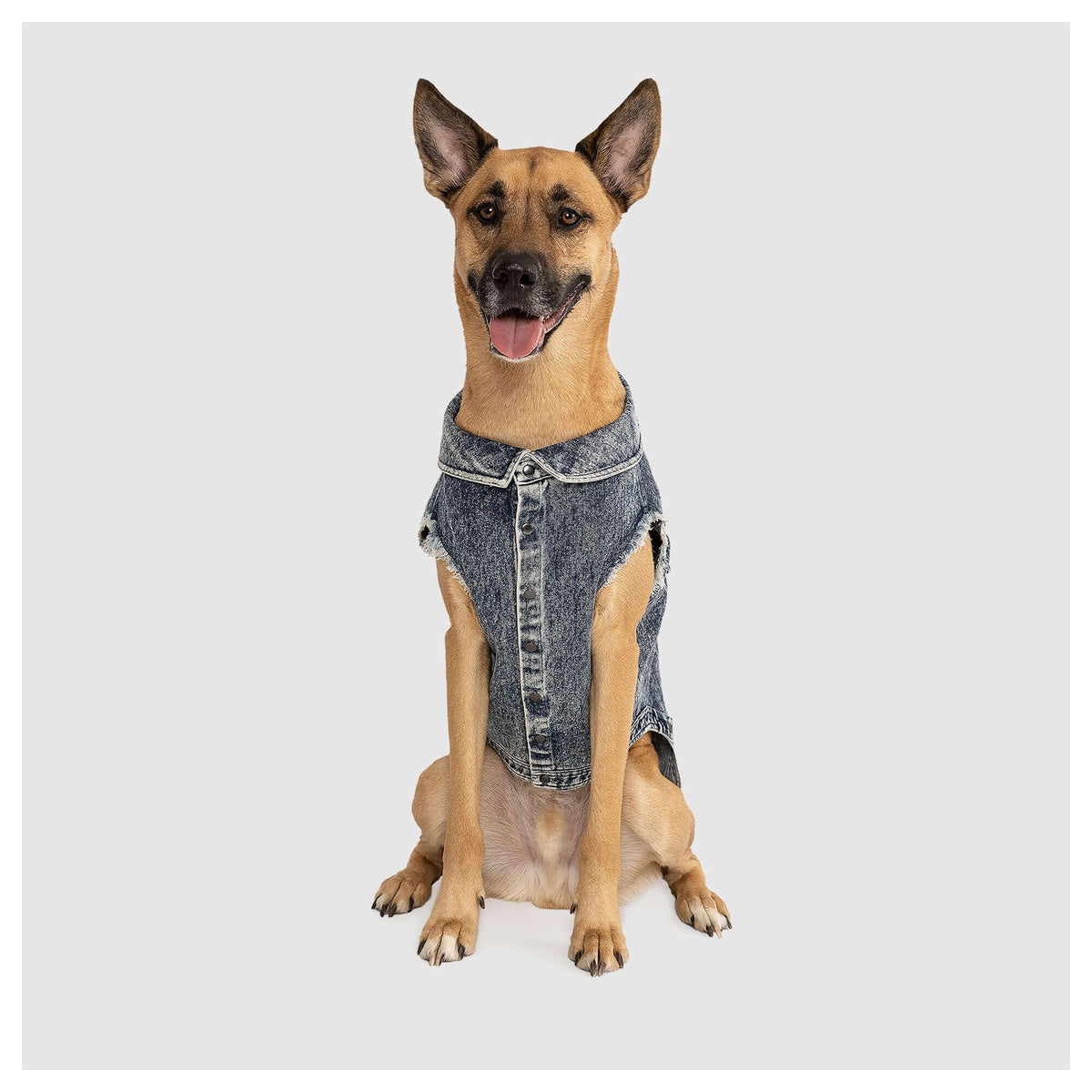 Canada Pooch Downtown Denim Vest|狗狗服飾|加拿大直送-狗-毛孩物語Pets Thing|香港寵物貓狗用品專門店:IATA寵物飛機籠、寵物手推車、貓爬架貓樹