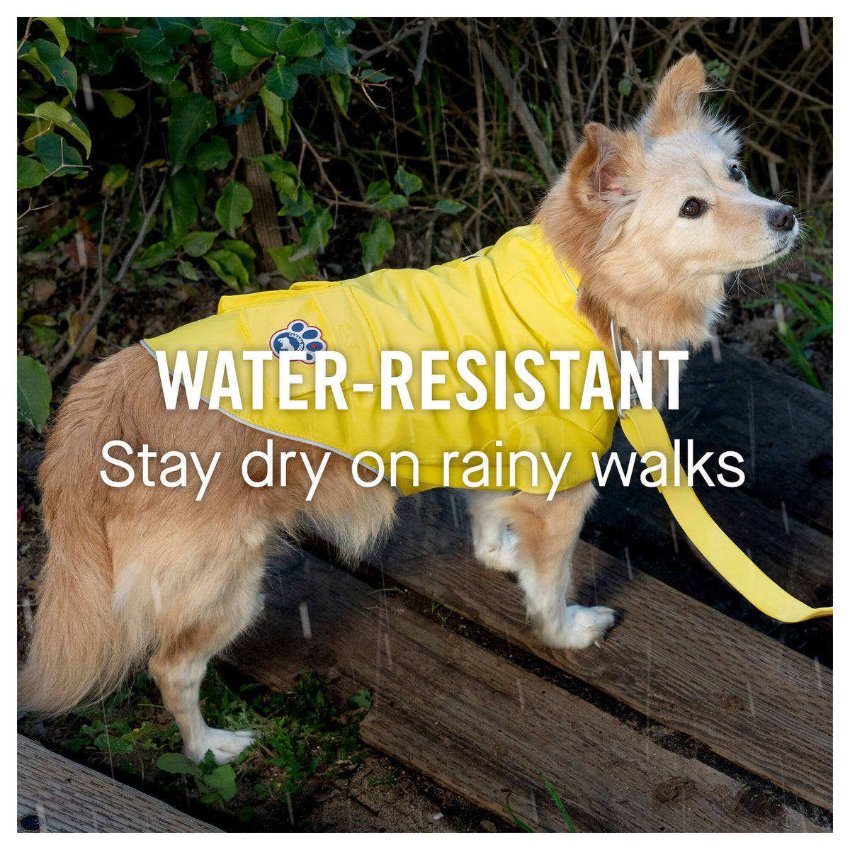 Canada Pooch Torrential Tracker|狗狗雨具|加拿大直送-狗-毛孩物語Pets Thing|香港寵物貓狗用品專門店:IATA寵物飛機籠、寵物手推車、貓爬架貓樹