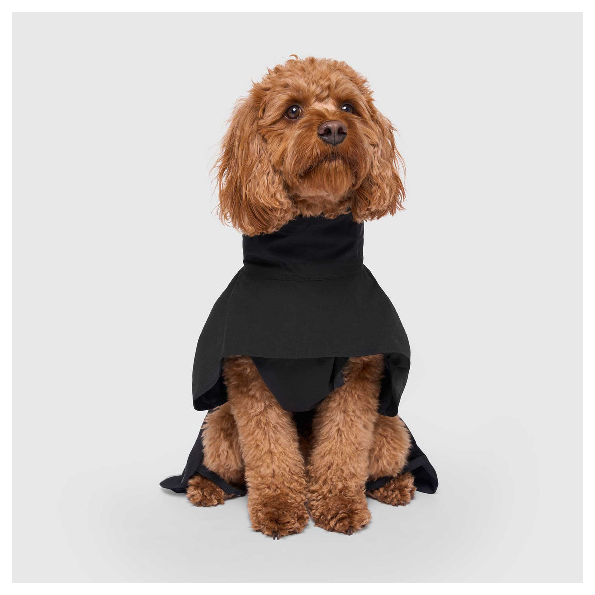 Canada Pooch Complete Coverage Raincoat|狗狗雨具|加拿大直送 產品細節圖 2