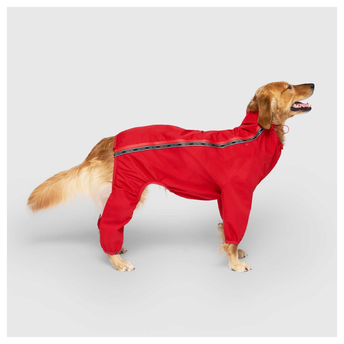 Canada Pooch Slush Suit|狗狗雨具|加拿大直送-狗-毛孩物語Pets Thing|香港寵物貓狗用品專門店:IATA寵物飛機籠、寵物手推車、貓爬架貓樹