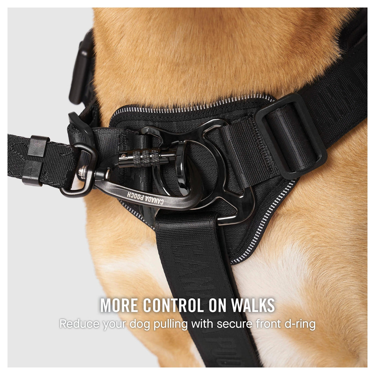 Canada Pooch Complete Control Harness|狗狗胸帶及戶外用品|加拿大直送-寵物胸背帶-毛孩物語Pets Thing|香港寵物貓狗用品專門店:IATA寵物飛機籠、寵物手推車、貓爬架貓樹
