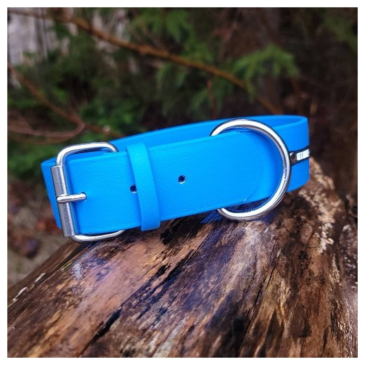 Get Dirty Pet Gear 1.5" Wide Traditional Buckle Biothane Dog Collar|狗狗頸圈|加拿大直送-寵物頸圈-毛孩物語Pets Thing|香港寵物貓狗用品專門店:IATA寵物飛機籠、寵物手推車、貓爬架貓樹