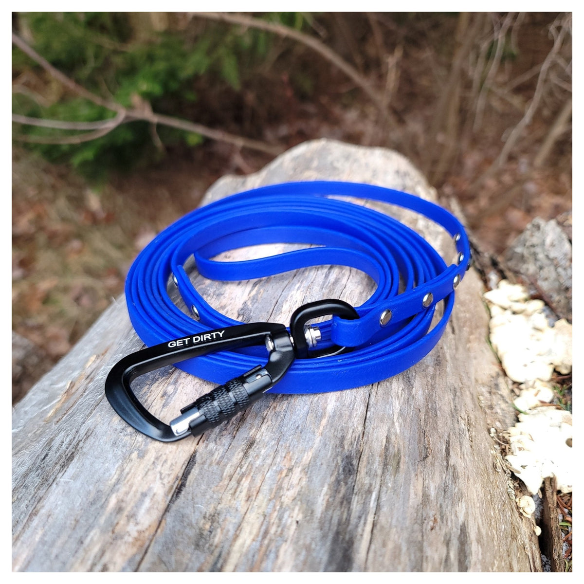 Get Dirty Pet Gear 3/8" Wide Adventure Carabiner Biothane Long Line|狗帶|加拿大直送 產品細節圖 2