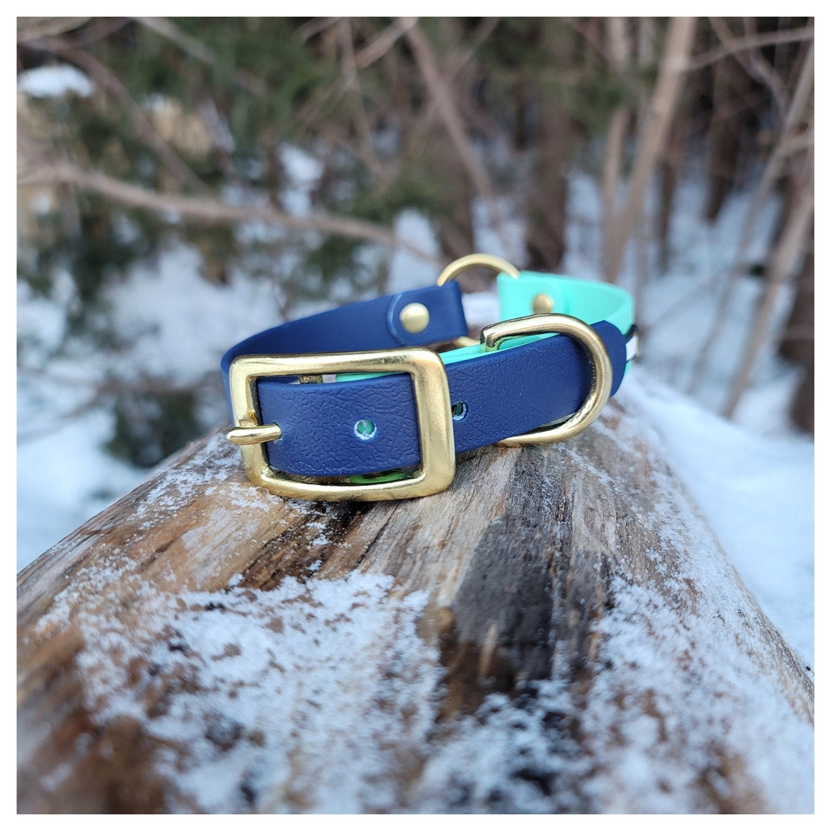 Get Dirty Pet Gear 3/4" Wide Biothane Safety Collar|狗狗頸圈|加拿大直送-寵物頸圈-毛孩物語Pets Thing|香港寵物貓狗用品專門店:IATA寵物飛機籠、寵物手推車、貓爬架貓樹