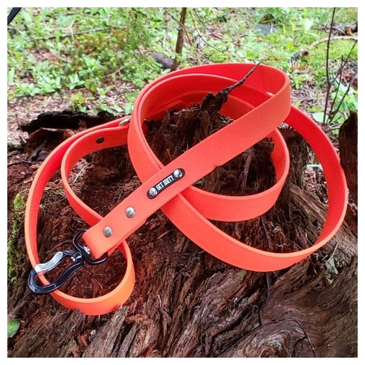 Get Dirty Pet Gear 1" Wide Adventure Carabiner Biothane Leash|狗帶|加拿大直送-寵物牽引繩-毛孩物語Pets Thing|香港寵物貓狗用品專門店:IATA寵物飛機籠、寵物手推車、貓爬架貓樹