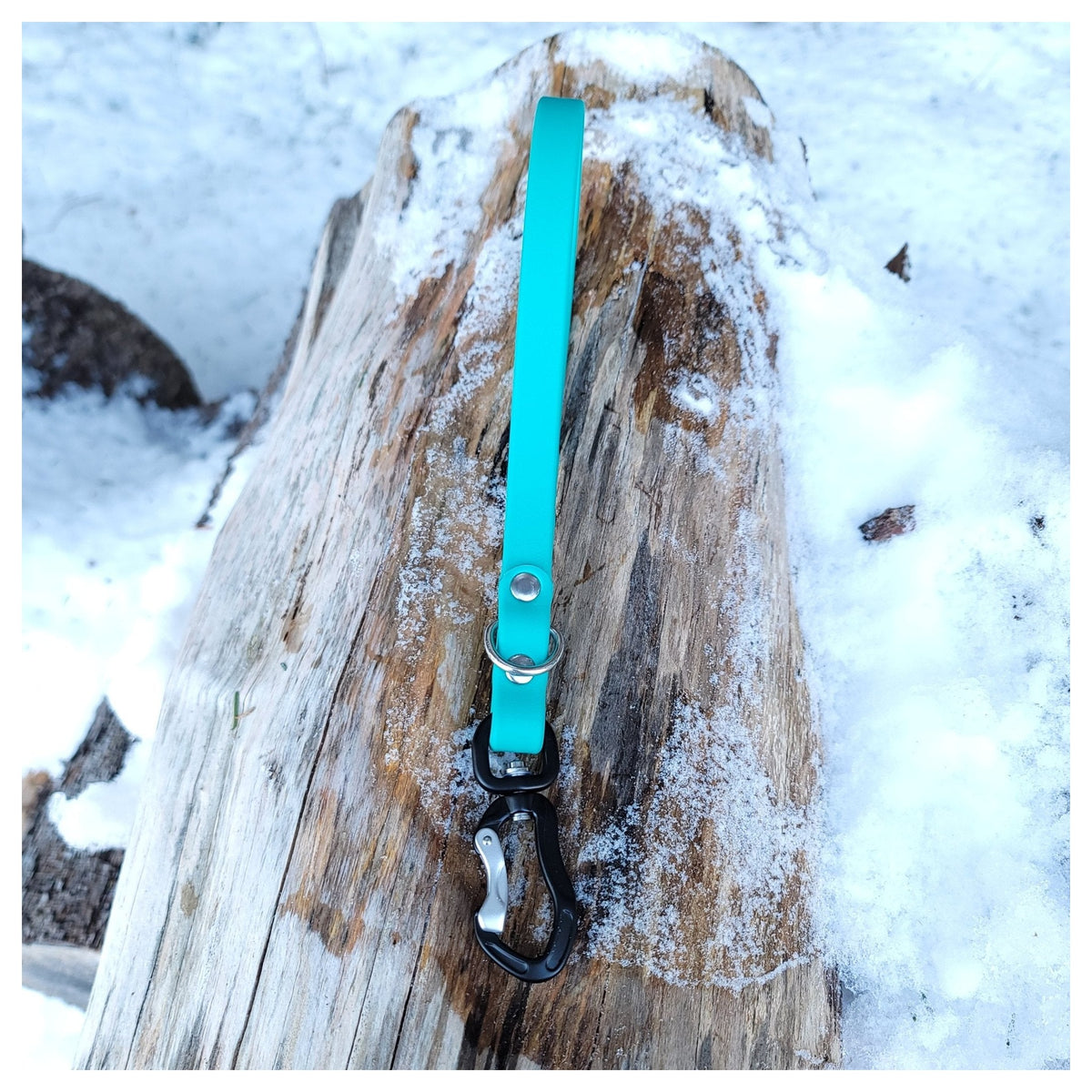 Get Dirty Pet Gear 5/8" Wide Adventure Carabiner Biothane Traffic Leash|狗帶|加拿大直送-寵物牽引繩-毛孩物語Pets Thing|香港寵物貓狗用品專門店:IATA寵物飛機籠、寵物手推車、貓爬架貓樹