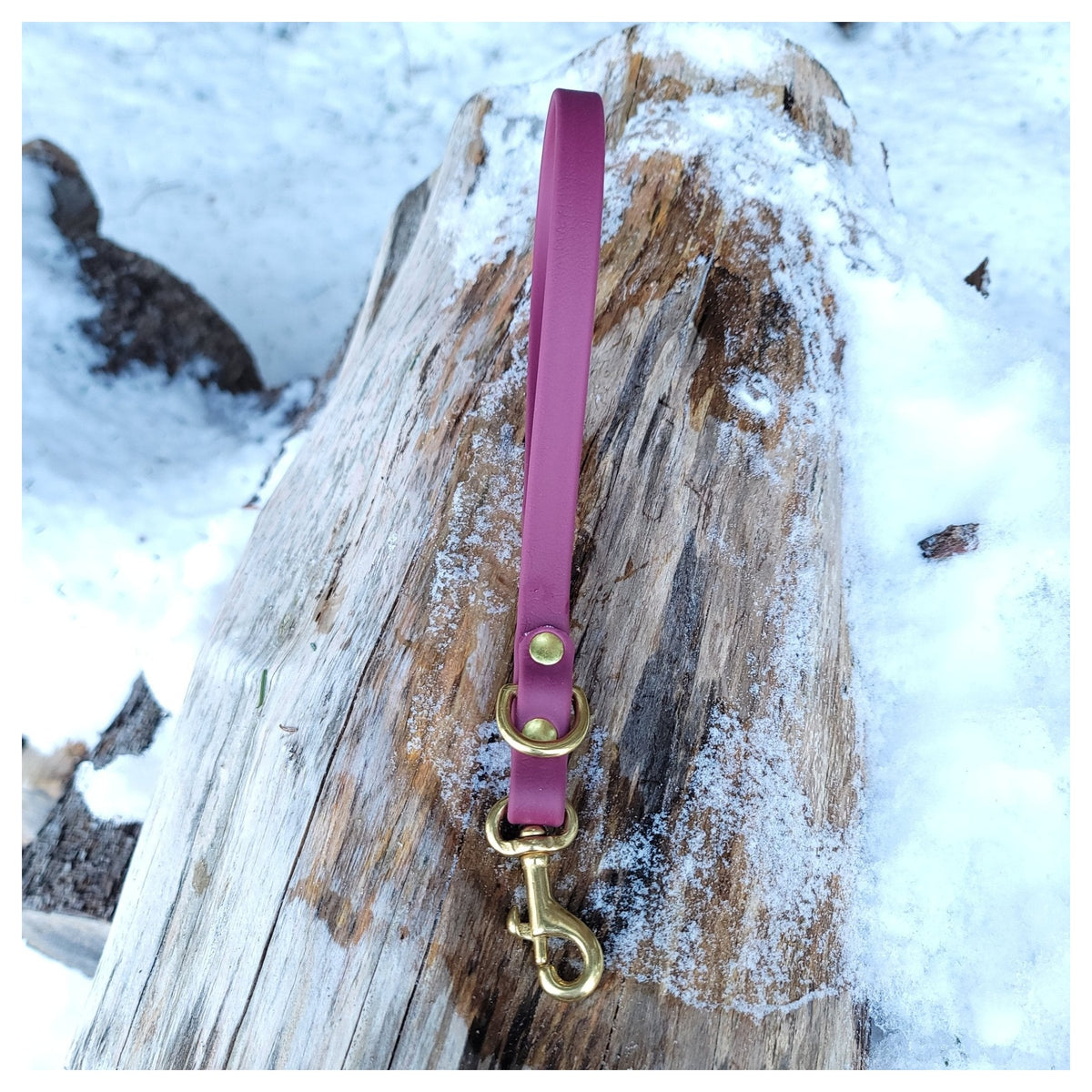 Get Dirty Pet Gear 5/8" Wide Traditional Bolt Snap Biothane Traffic Leash|狗帶|加拿大直送-寵物牽引繩-毛孩物語Pets Thing|香港寵物貓狗用品專門店:IATA寵物飛機籠、寵物手推車、貓爬架貓樹