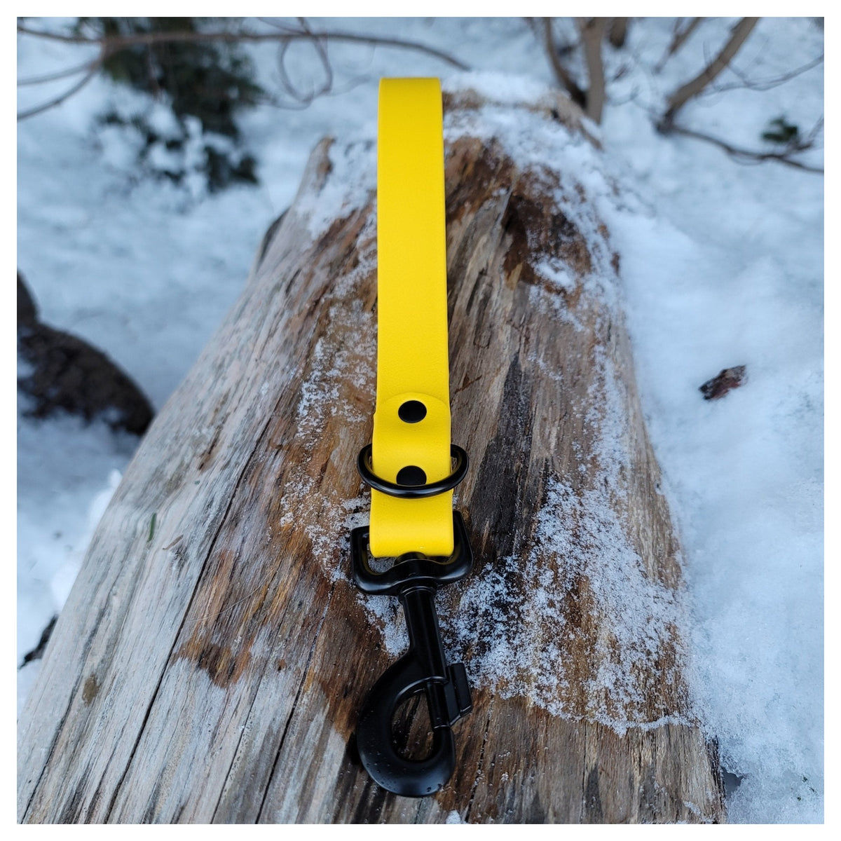 Get Dirty Pet Gear 1" Wide Traditional Bolt Snap Biothane Traffic Leash|狗帶|加拿大直送-寵物牽引繩-毛孩物語Pets Thing|香港寵物貓狗用品專門店:IATA寵物飛機籠、寵物手推車、貓爬架貓樹