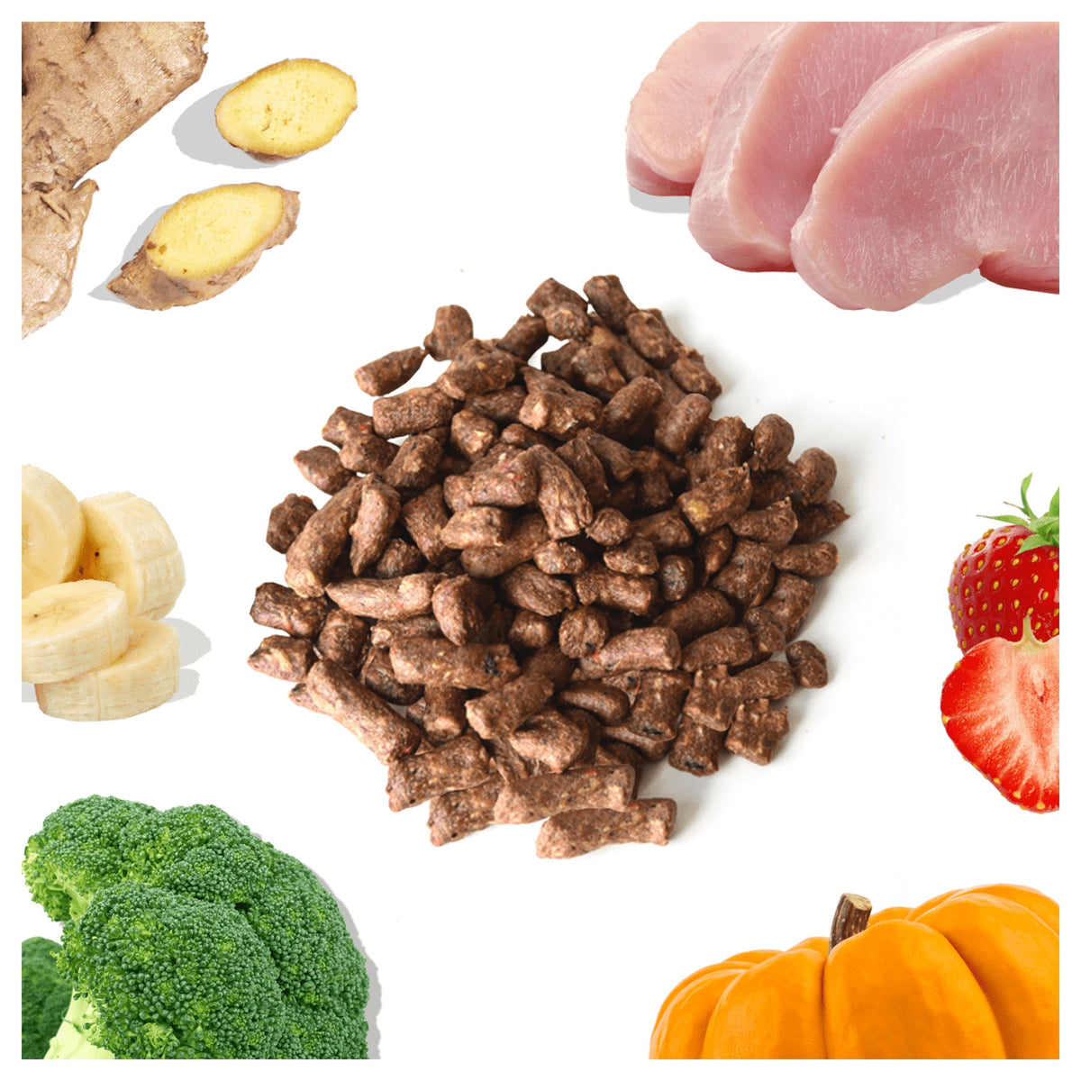 Healthybud Turkey Meal Bites|狗狗食品|加拿大直送-狗-毛孩物語Pets Thing|香港寵物貓狗用品專門店:IATA寵物飛機籠、寵物手推車、貓爬架貓樹