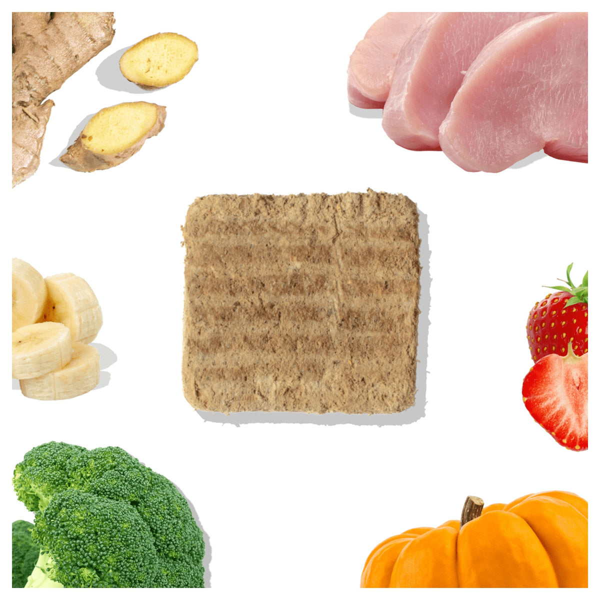 Healthybud Turkey Meal Patties|狗狗食品|加拿大直送-狗-毛孩物語Pets Thing|香港寵物貓狗用品專門店:IATA寵物飛機籠、寵物手推車、貓爬架貓樹