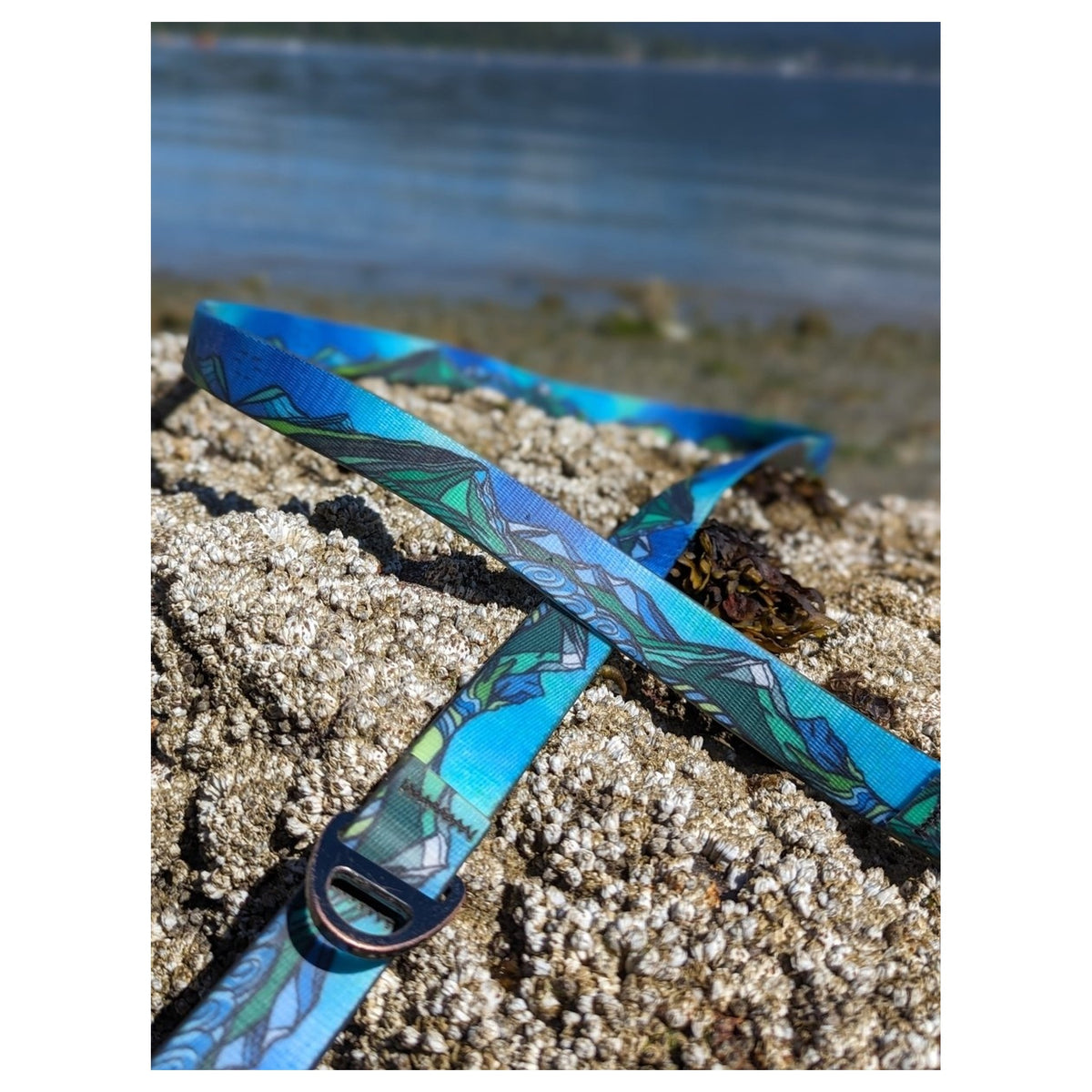 Woof & Stuff West Coast Waterproof Leash|狗狗牽引繩|加拿大直送 產品細節圖 2