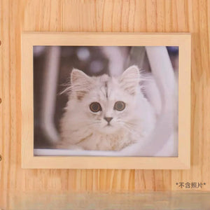 貓貓洞洞板系列・掛壁上牆貓爬架套件-貓-毛孩物語Pets Thing|香港寵物貓狗用品專門店:IATA寵物飛機籠、寵物手推車、貓爬架貓樹