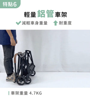 Ibiyaya FS2511 極速收小寵分離式寵物推車 (寵物承重:15kg)-貓狗-毛孩物語Pets Thing|香港寵物貓狗用品專門店:IATA寵物飛機籠、寵物手推車、貓爬架貓樹