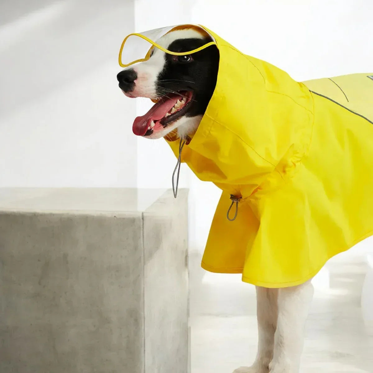 WOOFO狗狗防水雨衣衝鋒冒險狗狗雨衣狗雨褸 (黃色)-狗-毛孩物語Pets Thing|香港寵物貓狗用品專門店:IATA寵物飛機籠、寵物手推車、貓爬架貓樹