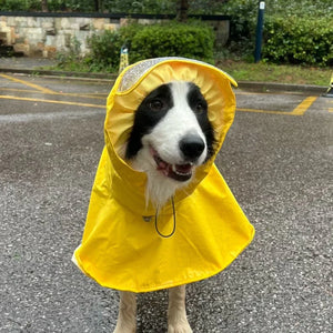 WOOFO狗狗防水雨衣衝鋒冒險狗狗雨衣狗雨褸 (灰色)-狗-毛孩物語Pets Thing|香港寵物貓狗用品專門店:IATA寵物飛機籠、寵物手推車、貓爬架貓樹