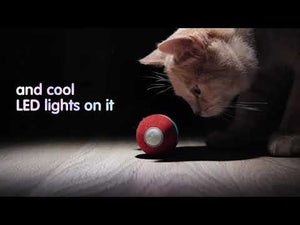 Cheerble Ball M1 毛絨版逗猫電動智能寵物玩具訓練球-貓狗-毛孩物語Pets Thing|香港寵物貓狗用品專門店:IATA寵物飛機籠、寵物手推車、貓爬架貓樹